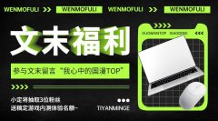 项目图1