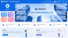 项目图1
