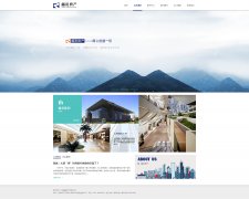 项目图1